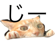 UHINOKO