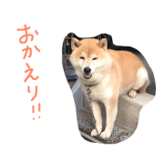kotarou's LIFE