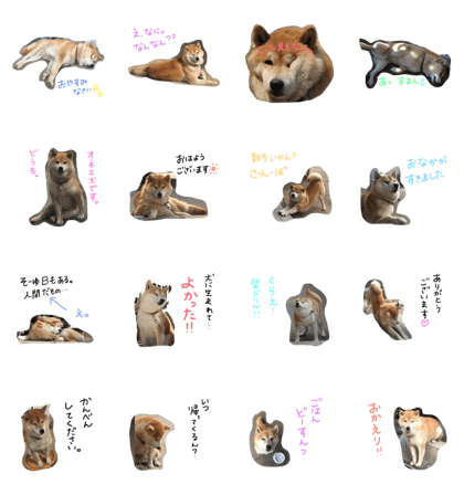 kotarou's LIFE