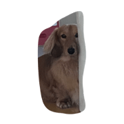 sakujiro