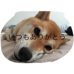 Matazaemon to Minami with You