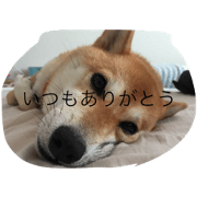 Matazaemon to Minami with You