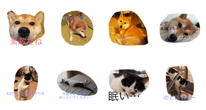 Matazaemon to Minami with You