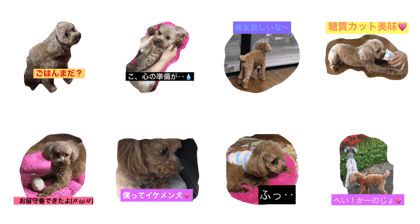 dog love love dog