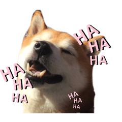 arisa_20210624192430