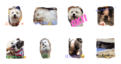 KotonPpop