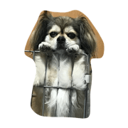 dog0901