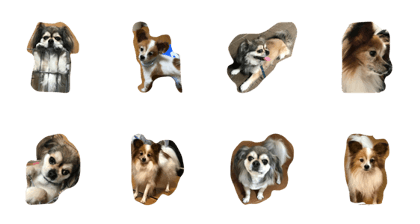 dog0901