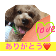 wanko.n