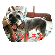 LITY