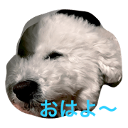 reokundayo