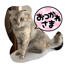 Himawari_20210624171330