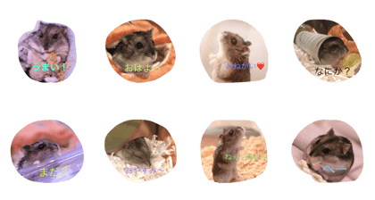 Life with Omochi