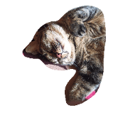 pm