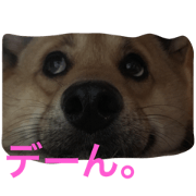 L !