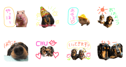 sally&goma&kinaco