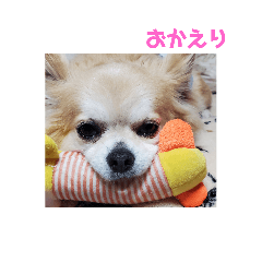 KAORI_20210624200051