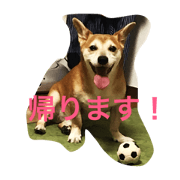 Goo3