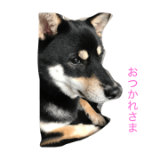 SABUSASUKE