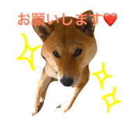 aguchan