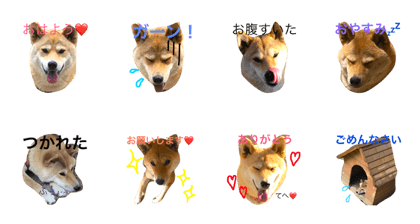 aguchan
