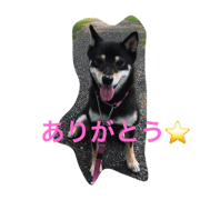 My life (by Sakura).