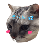 Lovely hana-nyan