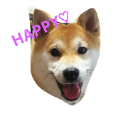 HAPPY AROMA