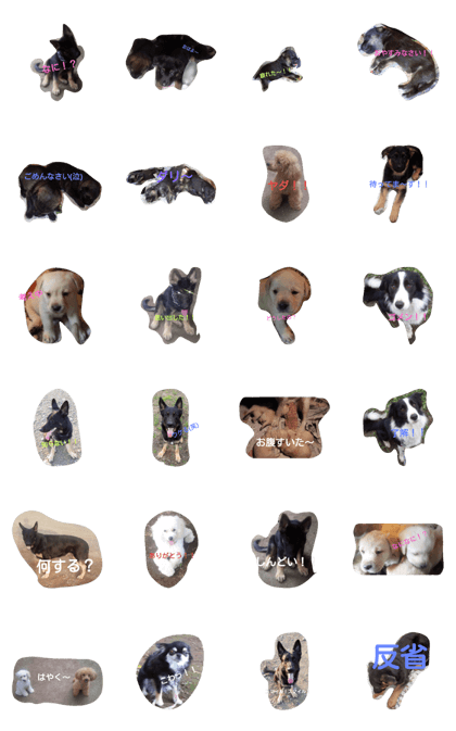 love love love dog