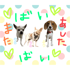 Fragrance_Lovely Dog Stamp