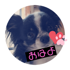 saya_20210624211338