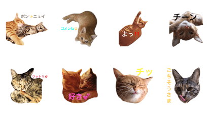 fukuebi
