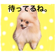 conan to kanon