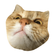 kokomomo