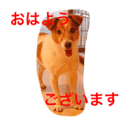 adpjgmt