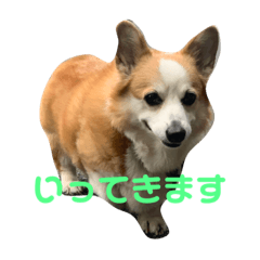 risa_20210625002050