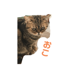 asuka_20210625004242