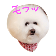 mofu mofu wanko
