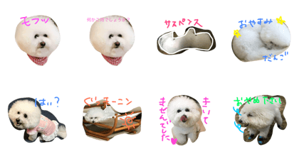 mofu mofu wanko