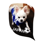 JAPAN!LOVE!