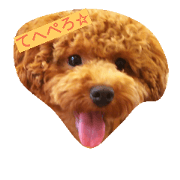 dog korosuke