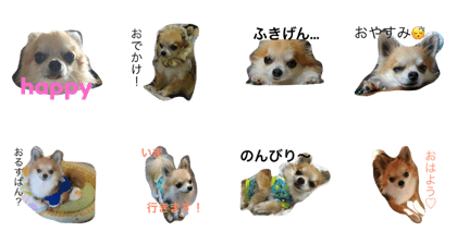 kotarou.o