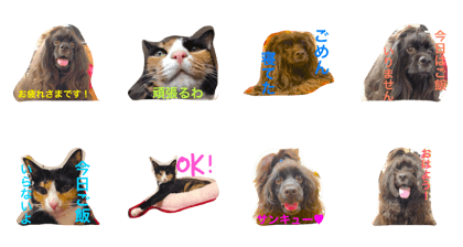 cocco&nya-s