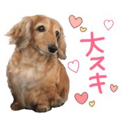 Chocochan sticker