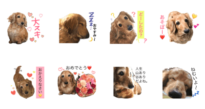 Chocochan sticker