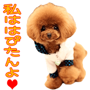 HAPITAN DAISUKI Sticker