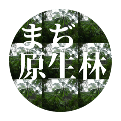 saya_20210624201718