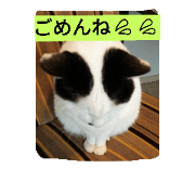 shotora