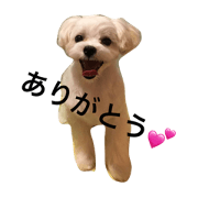 fuuta anniversary