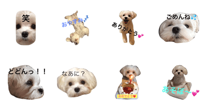 fuuta anniversary
